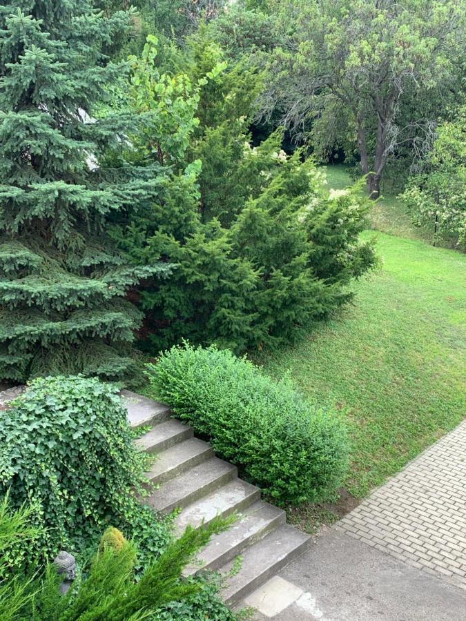 Maharaja Mountain Palace With Free Privat Parking And Garden Budapest Exterior foto